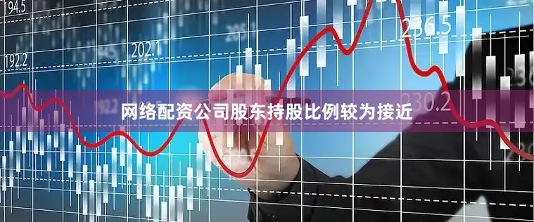 网络配资公司股东持股比例较为接近