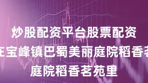 炒股配资平台股票配资门户在宝峰镇巴蜀美丽庭院稻香茗苑里