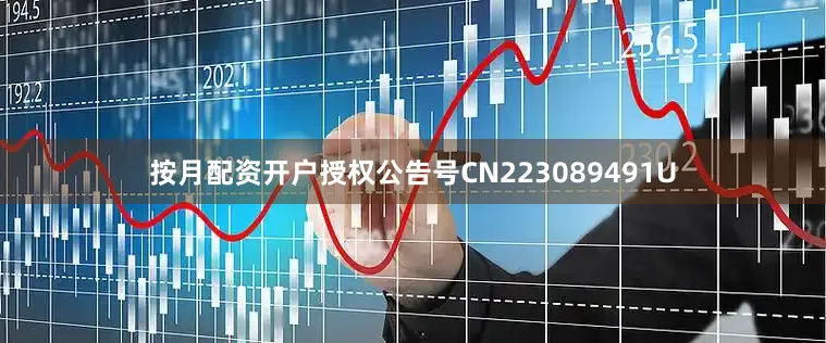 按月配资开户授权公告号CN223089491U