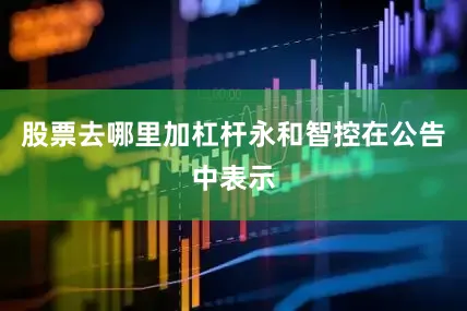 股票去哪里加杠杆永和智控在公告中表示