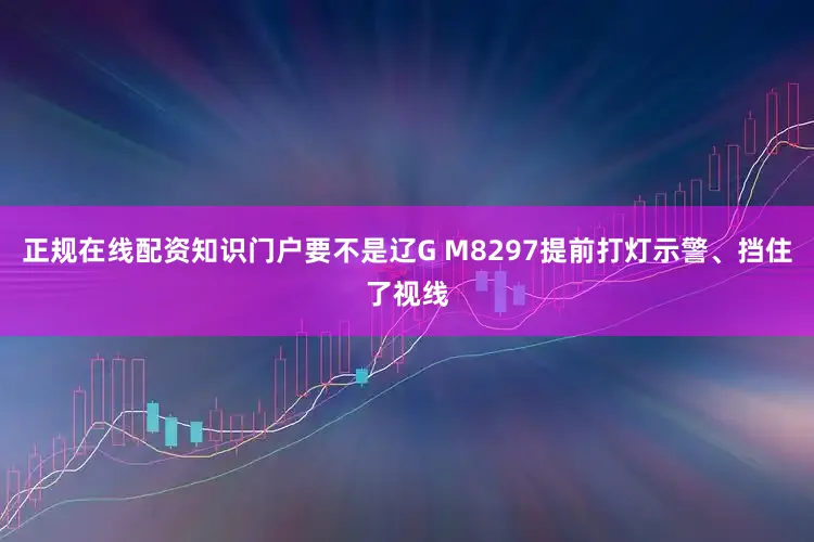 正规在线配资知识门户要不是辽G M8297提前打灯示警、挡住了视线