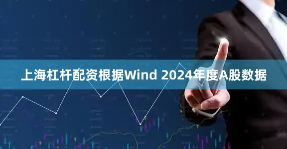 上海杠杆配资根据Wind 2024年度A股数据