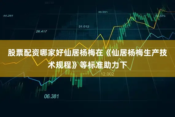 股票配资哪家好仙居杨梅在《仙居杨梅生产技术规程》等标准助力下